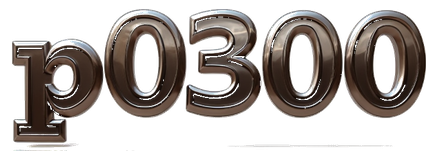 p0300 logo